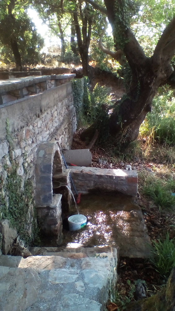 IMG 20190817 093514