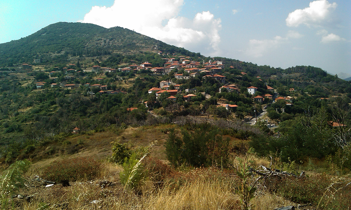 IMAG0078