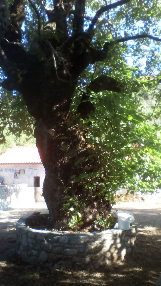IMG_20190817_091643.jpg